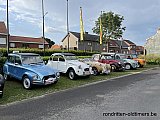 Zandlemig Vlaanderen